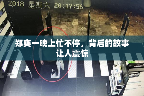 郑爽一晚上忙不停，背后的故事让人震惊