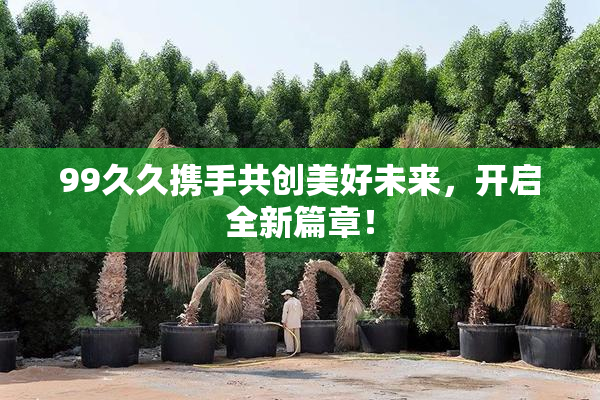 99久久携手共创美好未来，开启全新篇章！