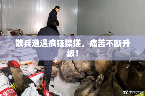 散兵遭遇疯狂揉搓，痛苦不断升级！