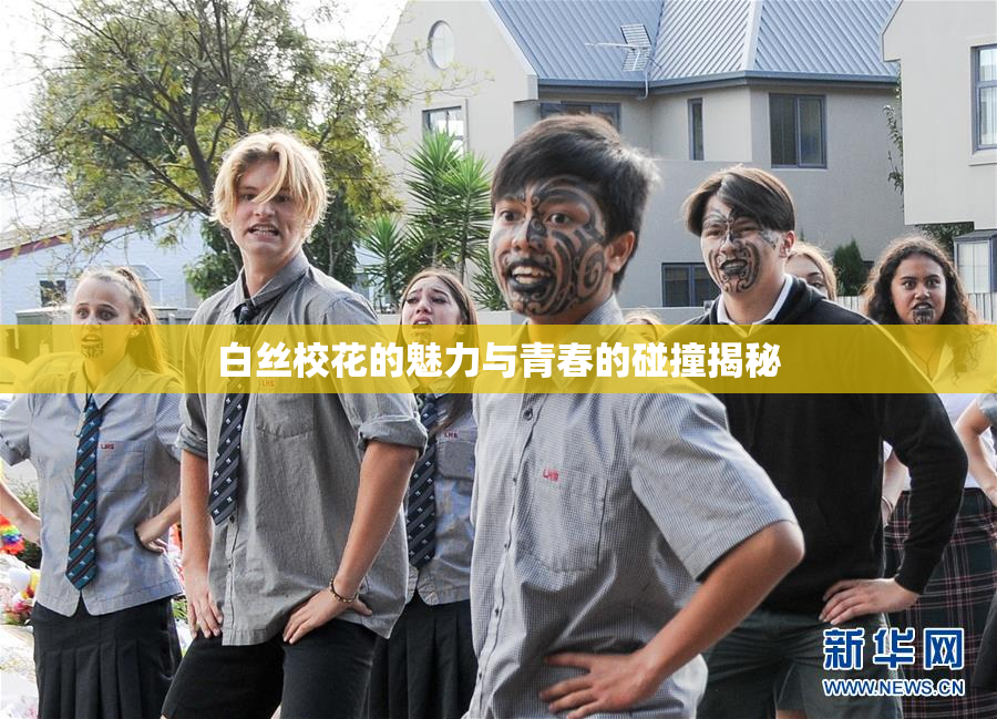白丝校花的魅力与青春的碰撞揭秘