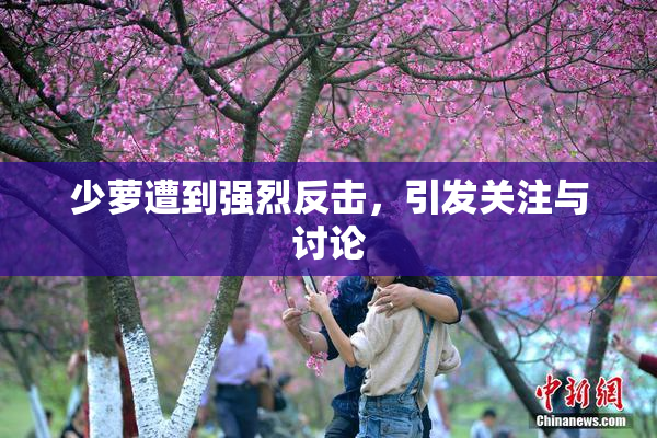 少萝遭到强烈反击，引发关注与讨论