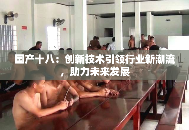 国产十八：创新技术引领行业新潮流，助力未来发展