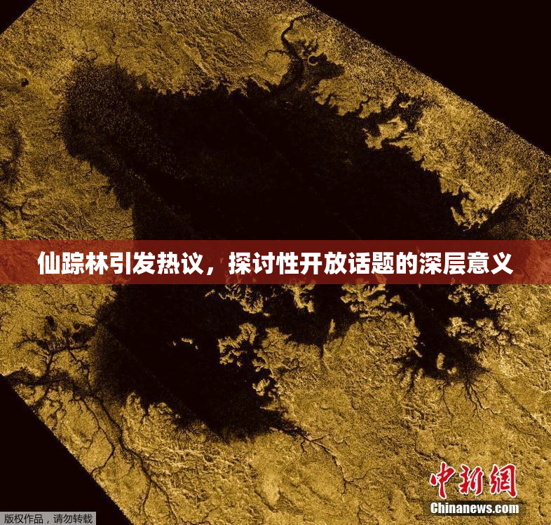 仙踪林引发热议，探讨性开放话题的深层意义