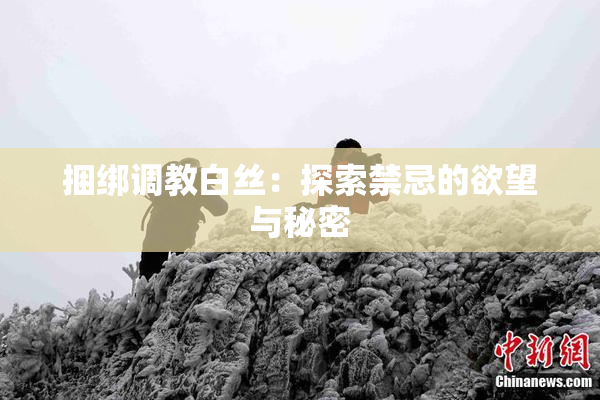 捆绑调教白丝：探索禁忌的欲望与秘密