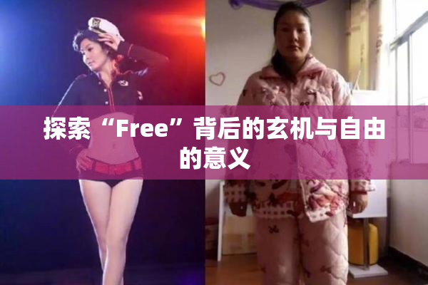 探索“Free”背后的玄机与自由的意义