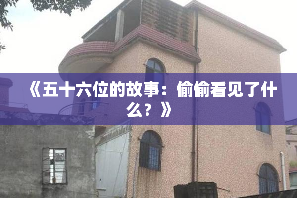 《五十六位的故事：偷偷看见了什么？》