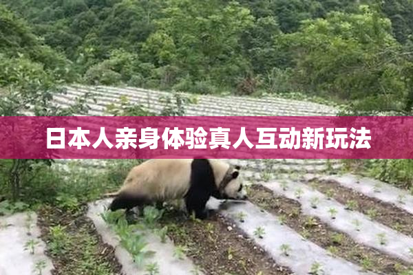 日本人亲身体验真人互动新玩法