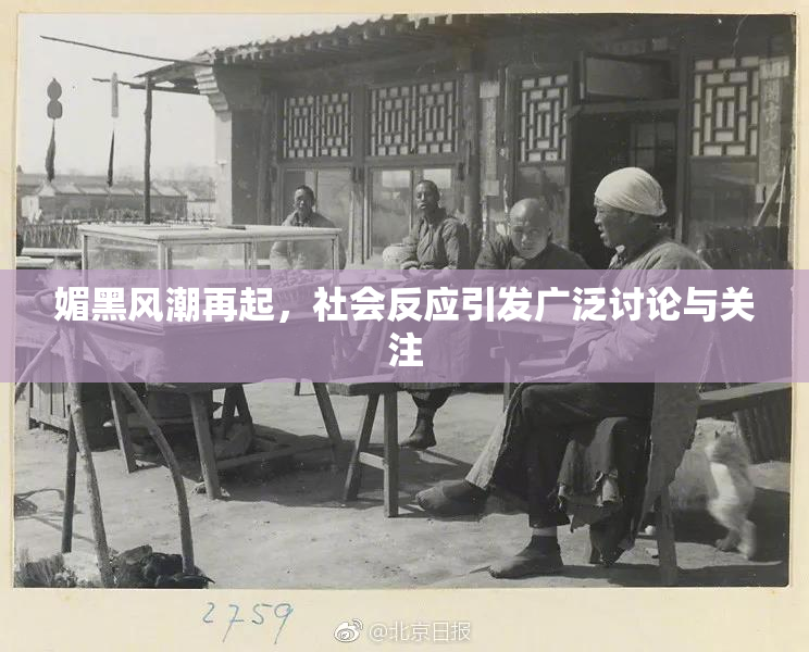 媚黑风潮再起，社会反应引发广泛讨论与关注