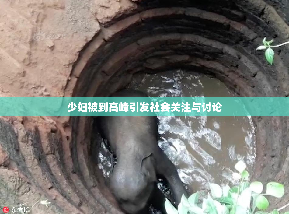 少妇被到高峰引发社会关注与讨论