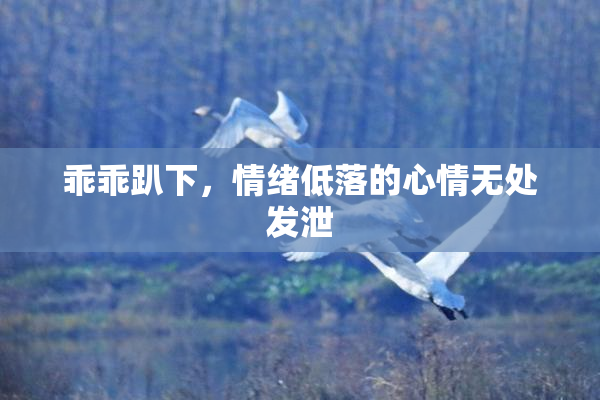 乖乖趴下，情绪低落的心情无处发泄