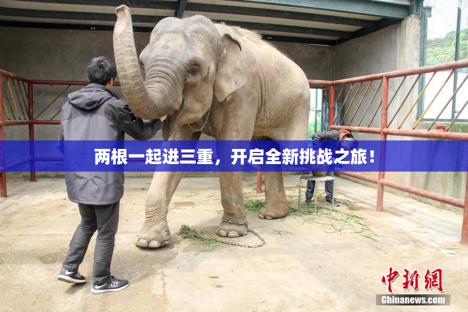 两根一起进三重，开启全新挑战之旅！