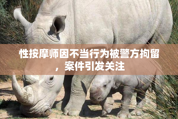 性按摩师因不当行为被警方拘留，案件引发关注