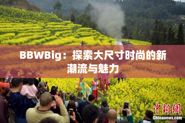 BBWBig：探索大尺寸时尚的新潮流与魅力