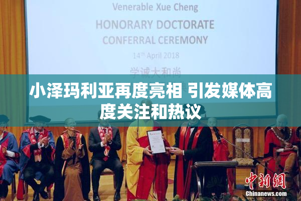 小泽玛利亚再度亮相 引发媒体高度关注和热议