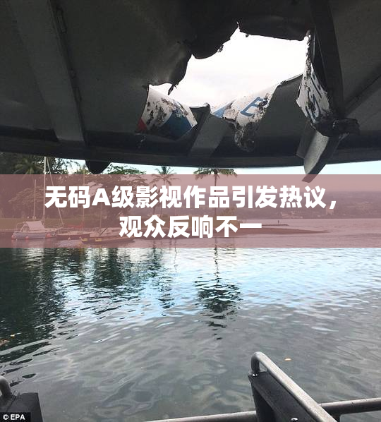 无码A级影视作品引发热议，观众反响不一