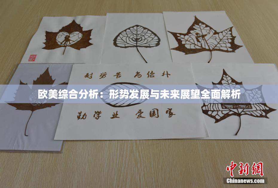 欧美综合分析：形势发展与未来展望全面解析