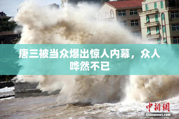 唐三被当众爆出惊人内幕，众人哗然不已