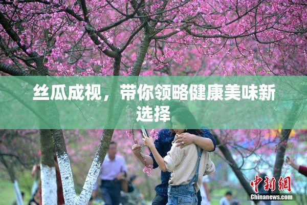 丝瓜成视，带你领略健康美味新选择