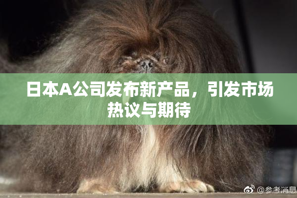 日本A公司发布新产品，引发市场热议与期待