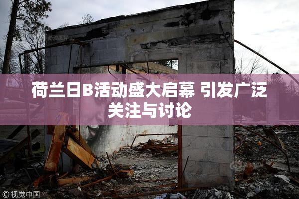 荷兰日B活动盛大启幕 引发广泛关注与讨论