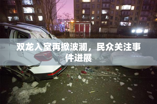 双龙入室再掀波澜，民众关注事件进展
