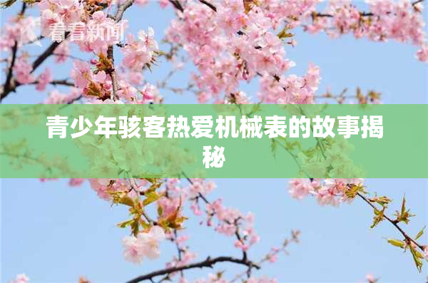 青少年骇客热爱机械表的故事揭秘
