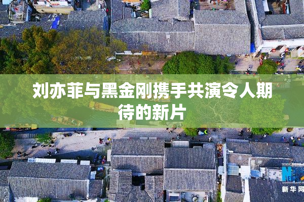 刘亦菲与黑金刚携手共演令人期待的新片