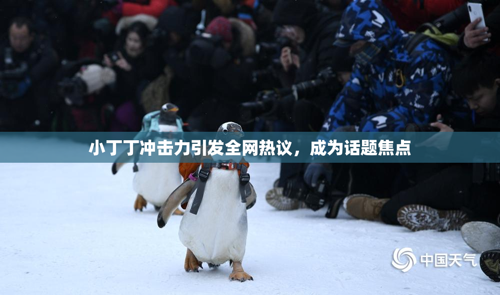 小丁丁冲击力引发全网热议，成为话题焦点