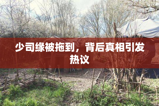 少司缘被拖到，背后真相引发热议