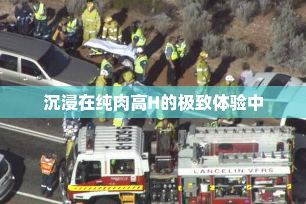 沉浸在纯肉高H的极致体验中