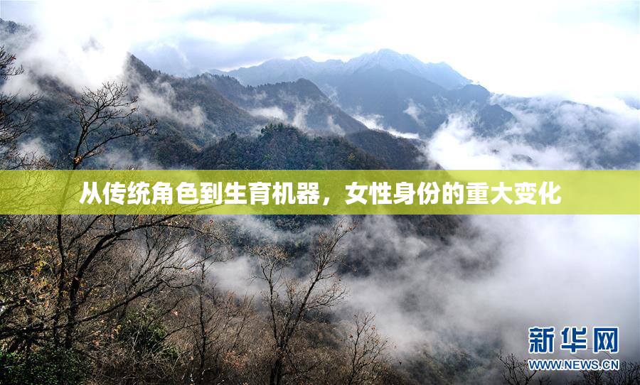 从传统角色到生育机器，女性身份的重大变化