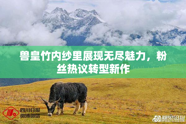 兽皇竹内纱里展现无尽魅力，粉丝热议转型新作