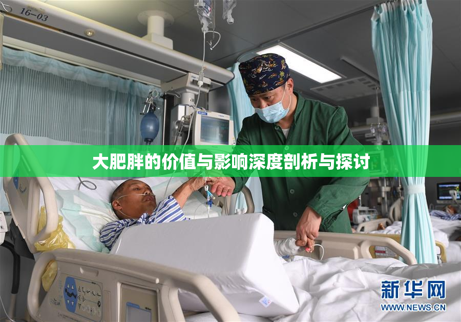 大肥胖的价值与影响深度剖析与探讨