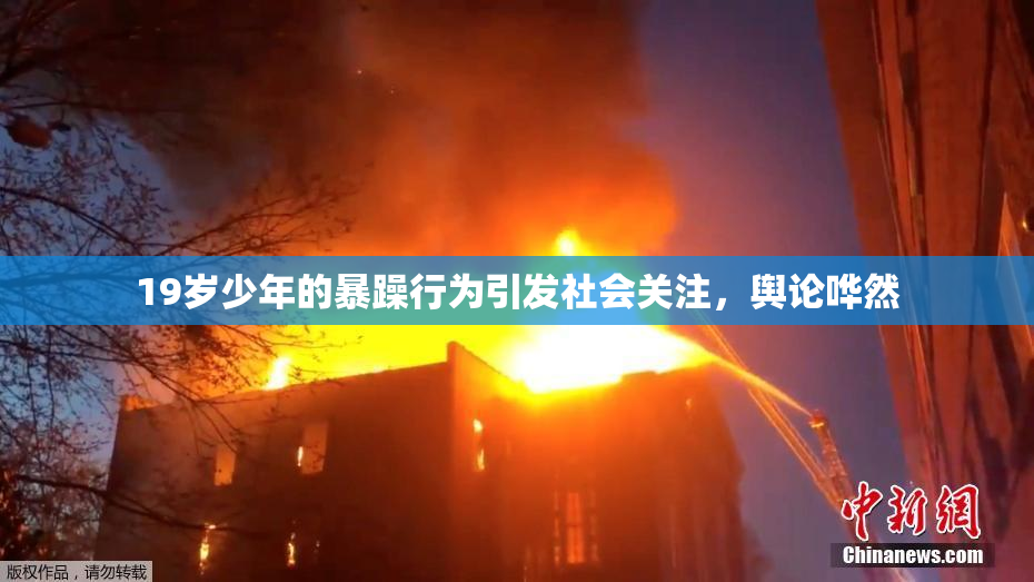 19岁少年的暴躁行为引发社会关注，舆论哗然