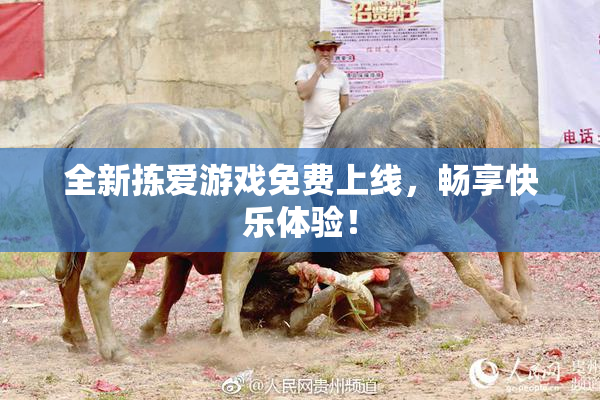 全新拣爱游戏免费上线，畅享快乐体验！