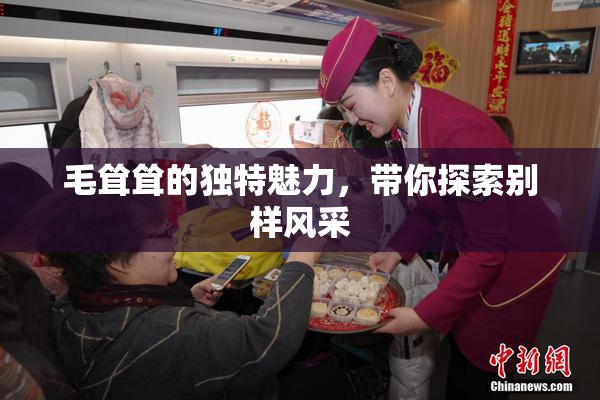 毛耸耸的独特魅力，带你探索别样风采