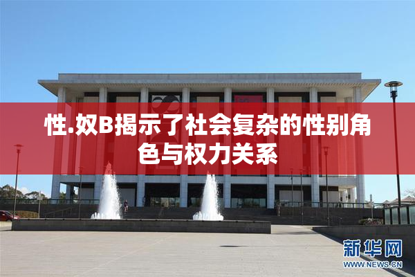 性.奴B揭示了社会复杂的性别角色与权力关系