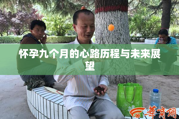 怀孕九个月的心路历程与未来展望