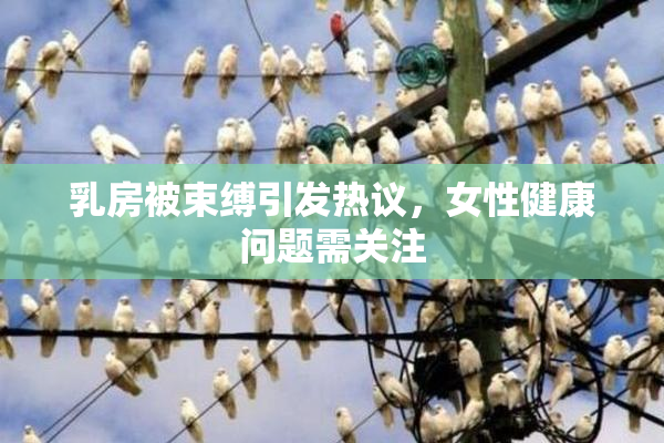 乳房被束缚引发热议，女性健康问题需关注