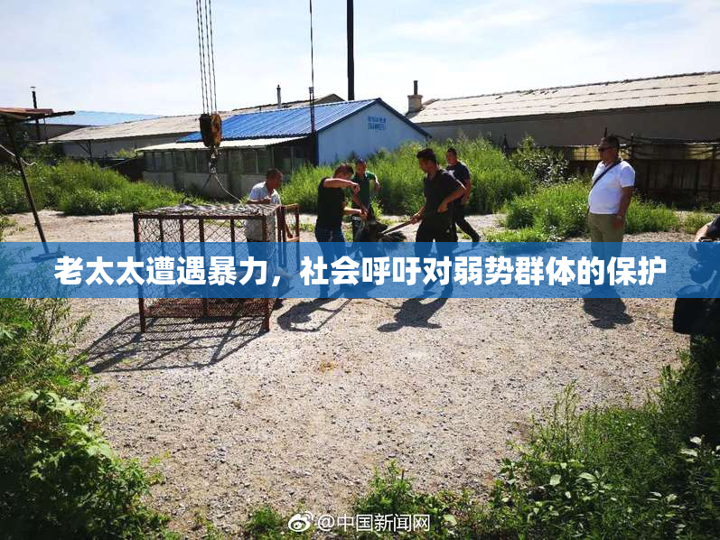 老太太遭遇暴力，社会呼吁对弱势群体的保护