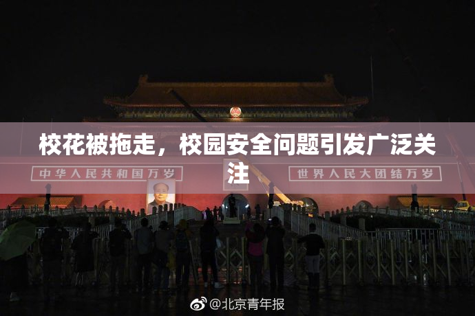 校花被拖走，校园安全问题引发广泛关注
