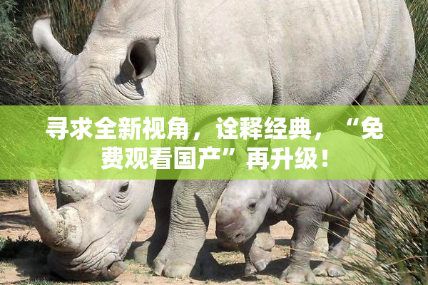 寻求全新视角，诠释经典，“免费观看国产”再升级！