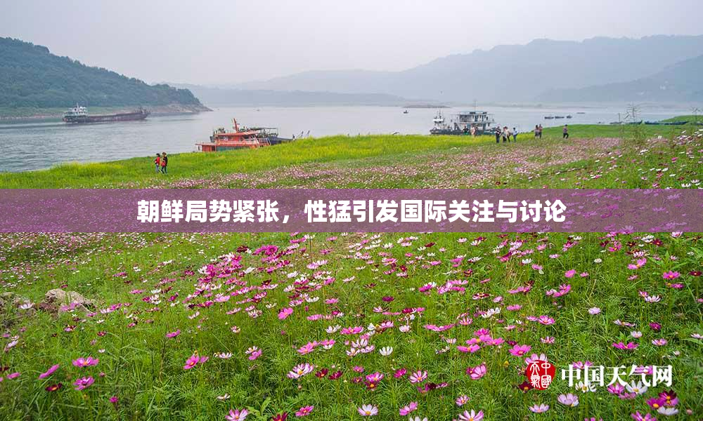 朝鲜局势紧张，性猛引发国际关注与讨论