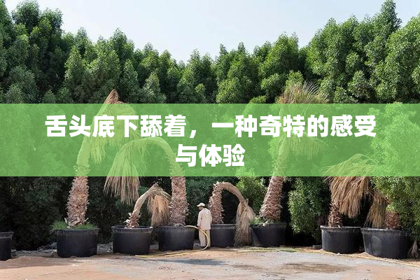 舌头底下舔着，一种奇特的感受与体验