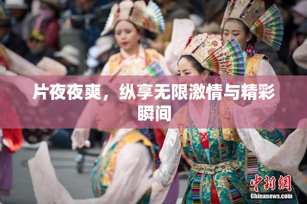 片夜夜爽，纵享无限激情与精彩瞬间