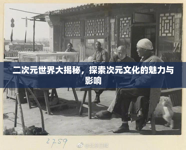 二次元世界大揭秘，探索次元文化的魅力与影响