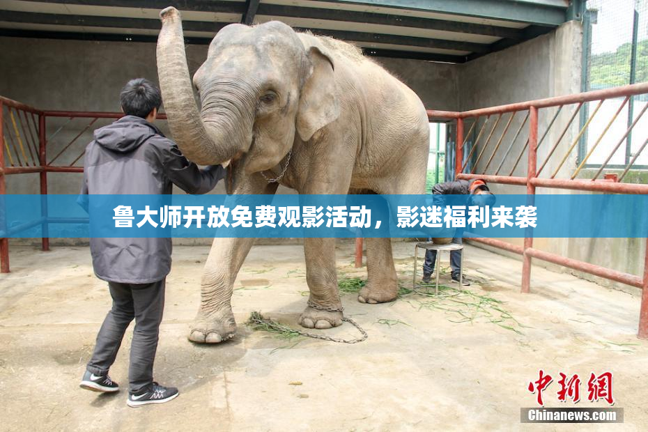 鲁大师开放免费观影活动，影迷福利来袭