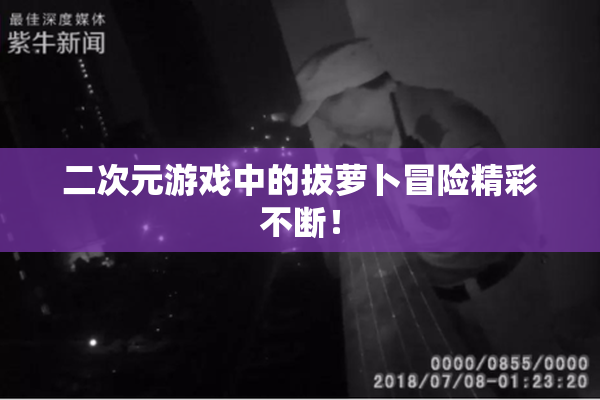 二次元游戏中的拔萝卜冒险精彩不断！