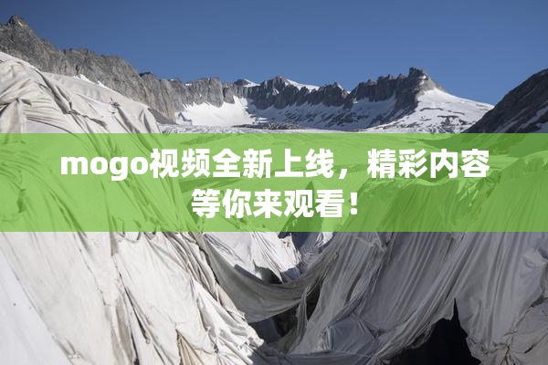 mogo视频全新上线，精彩内容等你来观看！