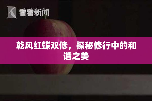 乾风红蝶双修，探秘修行中的和谐之美